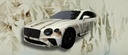 ART CAR Bentley Continental GT coming from Metaverse A3