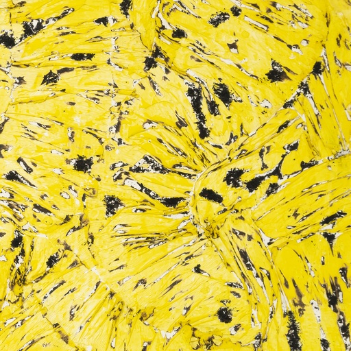 Yellow Fragment #8 by Jean Boghossian
